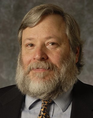 Professor Steve C. Gold Image
