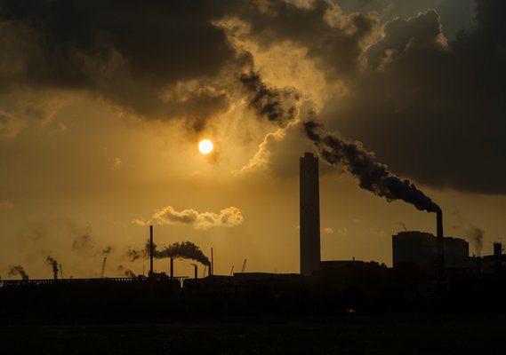 The Social Cost of Carbon