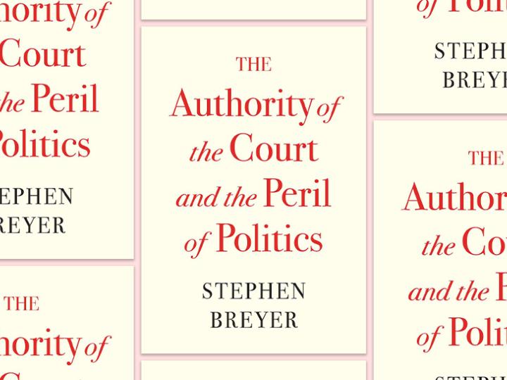 Authority of the court and the peril of politics-cover.jpg