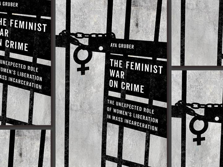 book-feminist-war-on-crime.jpg
