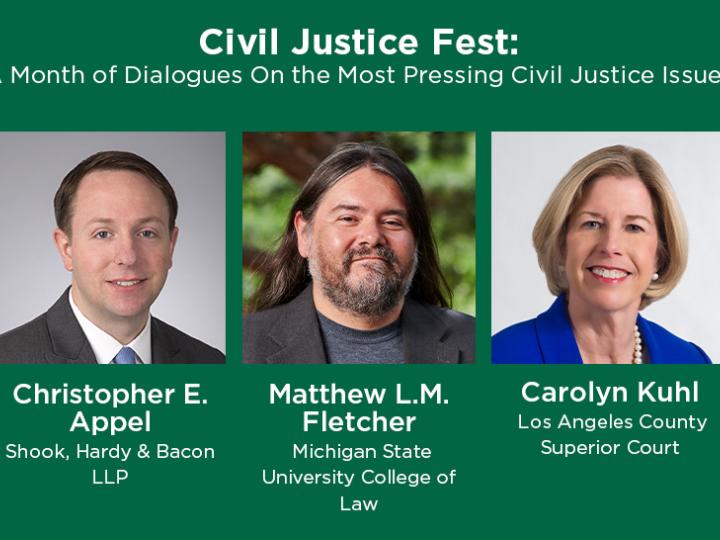 Civil Justice Fest 2.jpg