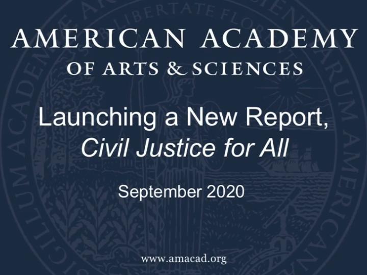 Civil justice for all.jpg