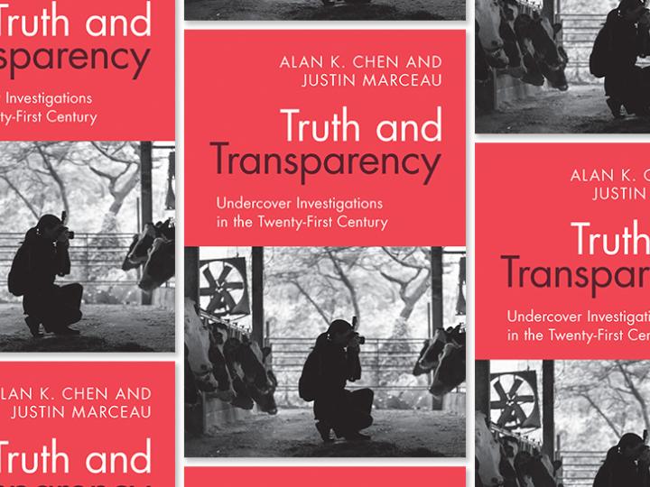 Truth and transparency.jpg